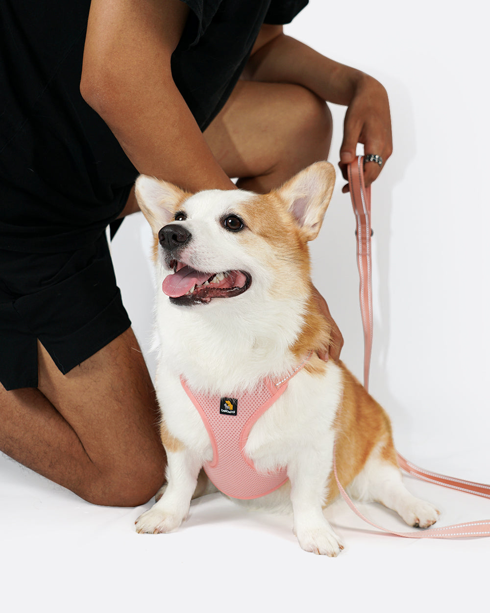 OxyMesh Flexi Step-in Harness and Leash Set - Coral Pink